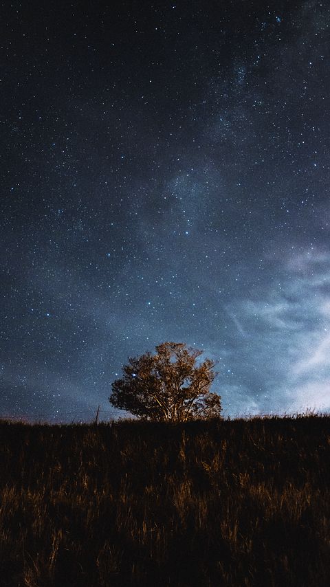 Download wallpaper 2160x3840 tree, field, stars, night, sky, landscape samsung galaxy s4, s5, note, sony xperia z, z1, z2, z3, htc one, lenovo vibe hd background