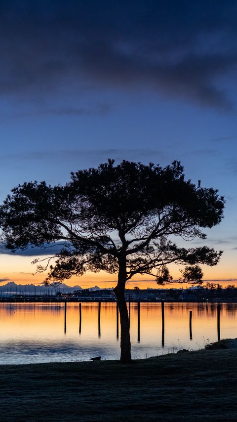 Download wallpaper 2160x3840 tree, lake, sunset, dark samsung galaxy s4, s5, note, sony xperia z, z1, z2, z3, htc one, lenovo vibe hd background