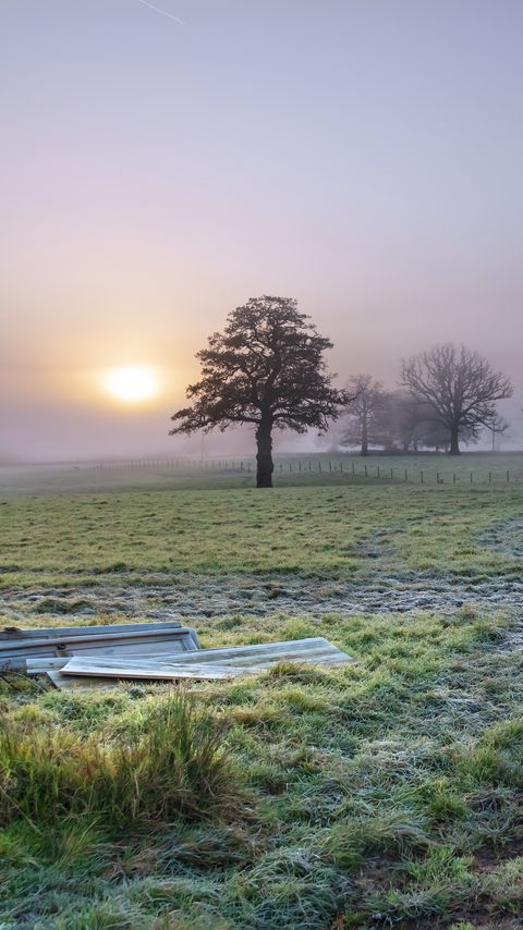 Download wallpaper 2160x3840 trees, field, fog, sun, nature samsung galaxy s4, s5, note, sony xperia z, z1, z2, z3, htc one, lenovo vibe hd background