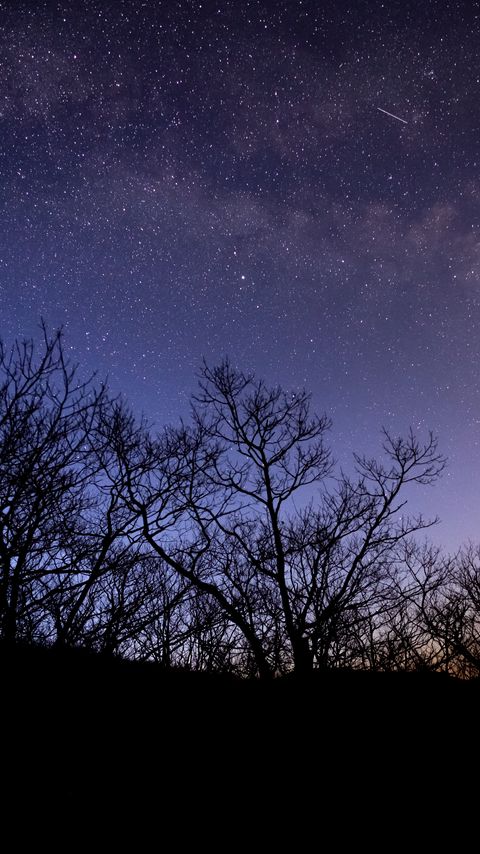 Download wallpaper 2160x3840 trees, stars, sky, night, dark samsung galaxy s4, s5, note, sony xperia z, z1, z2, z3, htc one, lenovo vibe hd background