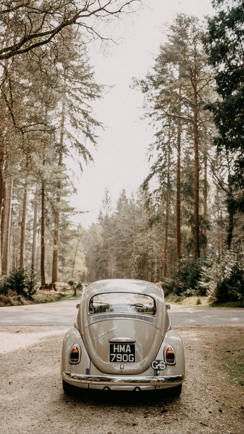 Download wallpaper 2160x3840 volkswagen beetle, volkswagen, car, gray, retro samsung galaxy s4, s5, note, sony xperia z, z1, z2, z3, htc one, lenovo vibe hd background