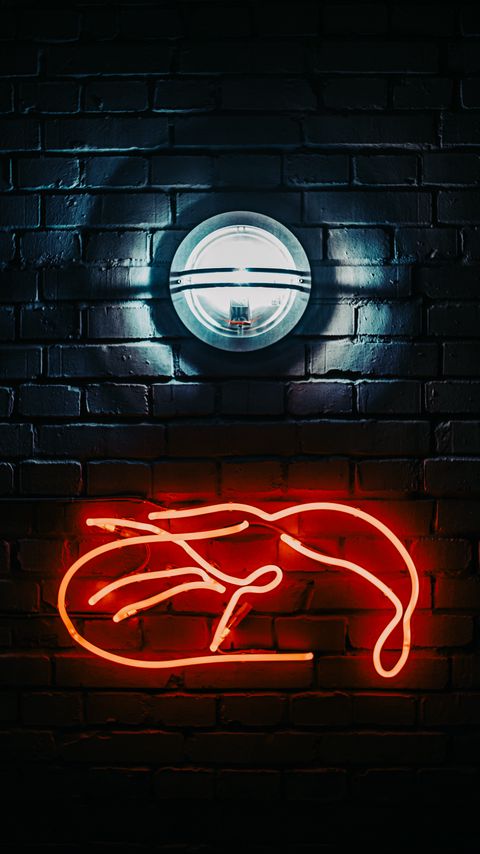 Download wallpaper 2160x3840 wall, lamp, neon, light, dark samsung galaxy s4, s5, note, sony xperia z, z1, z2, z3, htc one, lenovo vibe hd background