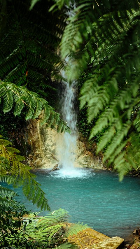 Download wallpaper 2160x3840 waterfall, water, palm trees, tropics, summer samsung galaxy s4, s5, note, sony xperia z, z1, z2, z3, htc one, lenovo vibe hd background