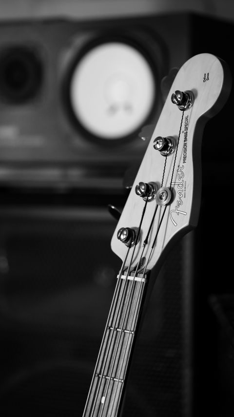 Download wallpaper 2160x3840 bass guitar, guitar, fretboard, strings, music, black and white samsung galaxy s4, s5, note, sony xperia z, z1, z2, z3, htc one, lenovo vibe hd background