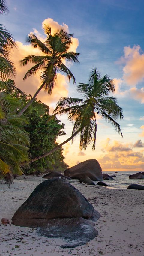 Download wallpaper 2160x3840 beach, palm trees, sea, nature, landscape samsung galaxy s4, s5, note, sony xperia z, z1, z2, z3, htc one, lenovo vibe hd background