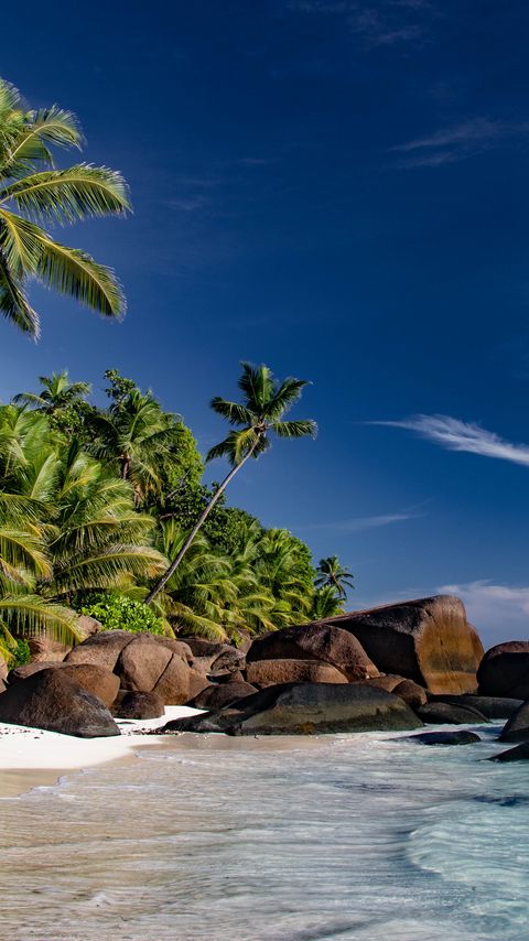 Download wallpaper 2160x3840 beach, sea, palm trees, summer, landscape samsung galaxy s4, s5, note, sony xperia z, z1, z2, z3, htc one, lenovo vibe hd background