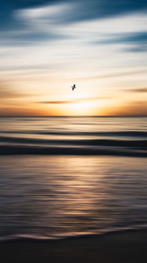 Download wallpaper 2160x3840 bird, flight, ocean, water, minimalism samsung galaxy s4, s5, note, sony xperia z, z1, z2, z3, htc one, lenovo vibe hd background