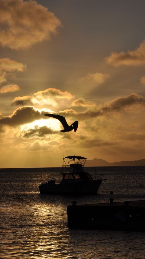 Download wallpaper 2160x3840 boat, bird, silhouette, sea, twilight, dark samsung galaxy s4, s5, note, sony xperia z, z1, z2, z3, htc one, lenovo vibe hd background