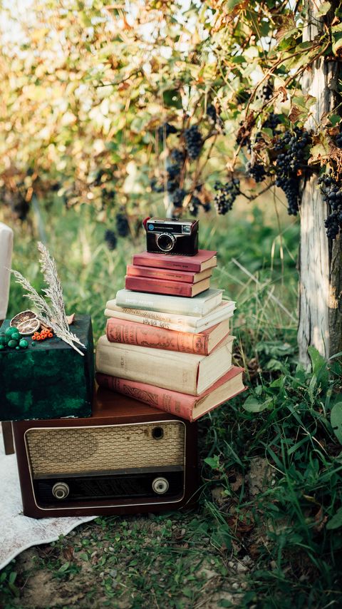 Download wallpaper 2160x3840 books, camera, wood, grapes, retro, aesthetics samsung galaxy s4, s5, note, sony xperia z, z1, z2, z3, htc one, lenovo vibe hd background