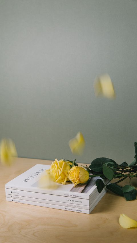 Download wallpaper 2160x3840 books, roses, flowers, petals samsung galaxy s4, s5, note, sony xperia z, z1, z2, z3, htc one, lenovo vibe hd background