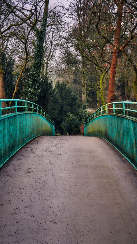 Download wallpaper 2160x3840 bridge, railings, trees, view samsung galaxy s4, s5, note, sony xperia z, z1, z2, z3, htc one, lenovo vibe hd background