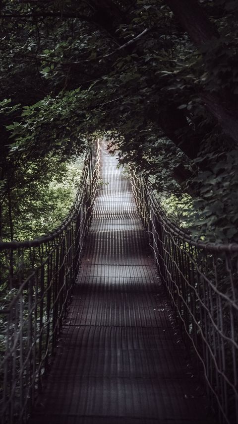 Download wallpaper 2160x3840 bridge, trees, nature samsung galaxy s4, s5, note, sony xperia z, z1, z2, z3, htc one, lenovo vibe hd background