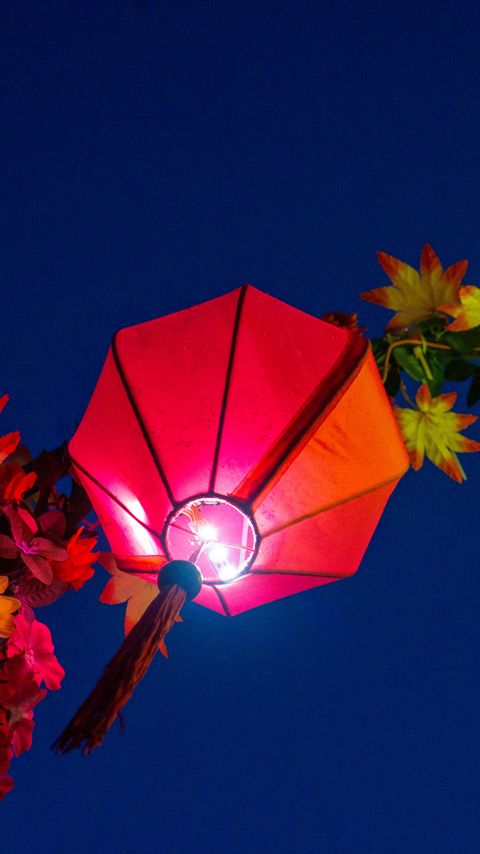 Download wallpaper 2160x3840 chinese lantern, flashlight, light, leaves samsung galaxy s4, s5, note, sony xperia z, z1, z2, z3, htc one, lenovo vibe hd background