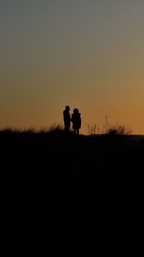 Download wallpaper 2160x3840 couple, silhouettes, twilight, dark samsung galaxy s4, s5, note, sony xperia z, z1, z2, z3, htc one, lenovo vibe hd background