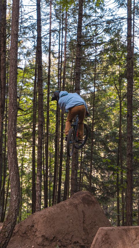 Download wallpaper 2160x3840 cyclist, bike, jump, trick, forest samsung galaxy s4, s5, note, sony xperia z, z1, z2, z3, htc one, lenovo vibe hd background