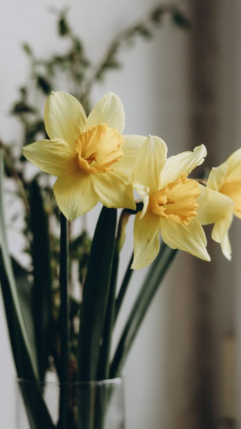 Download wallpaper 2160x3840 daffodils, flowers, bouquet, vase samsung galaxy s4, s5, note, sony xperia z, z1, z2, z3, htc one, lenovo vibe hd background