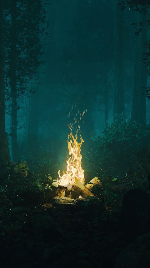 Download wallpaper 2160x3840 forest, bonfire, fire, light, dark samsung galaxy s4, s5, note, sony xperia z, z1, z2, z3, htc one, lenovo vibe hd background