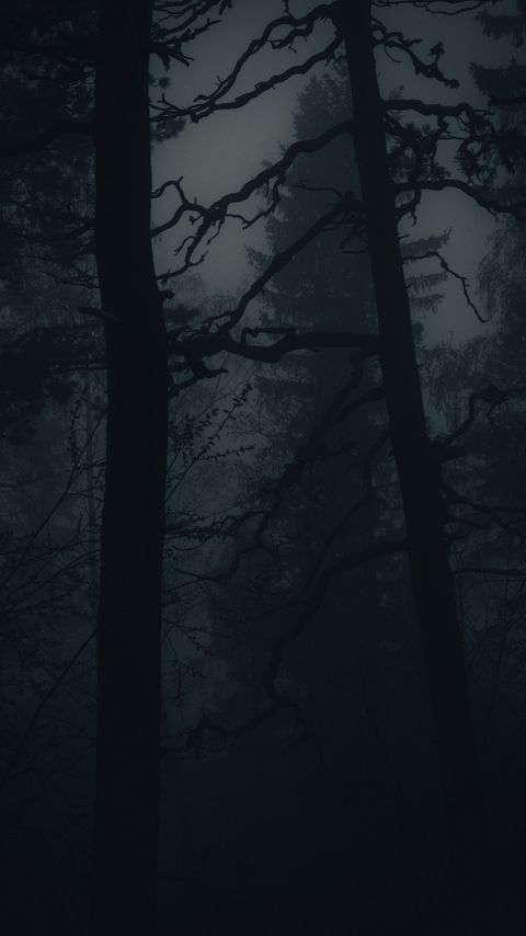 Download wallpaper 2160x3840 forest, fog, darkness, trees, dark samsung galaxy s4, s5, note, sony xperia z, z1, z2, z3, htc one, lenovo vibe hd background