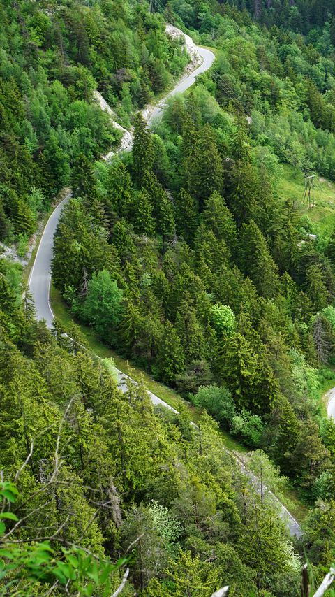 Download wallpaper 2160x3840 forest, road, bends, aerial view samsung galaxy s4, s5, note, sony xperia z, z1, z2, z3, htc one, lenovo vibe hd background