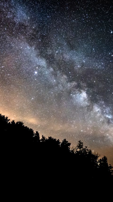 Download wallpaper 2160x3840 forest, trees, silhouettes, stars, night, milky way samsung galaxy s4, s5, note, sony xperia z, z1, z2, z3, htc one, lenovo vibe hd background