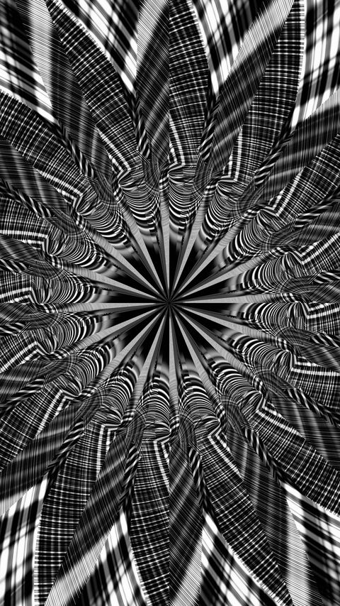 Download wallpaper 2160x3840 fractal, shapes, lines, abstraction, black and white samsung galaxy s4, s5, note, sony xperia z, z1, z2, z3, htc one, lenovo vibe hd background