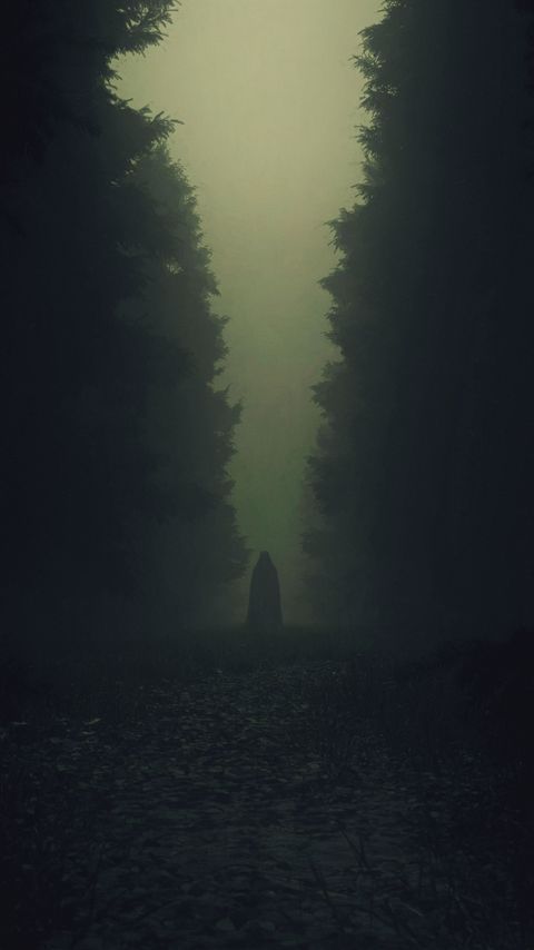 Download wallpaper 2160x3840 ghost, silhouette, cloak, forest, trees, dark samsung galaxy s4, s5, note, sony xperia z, z1, z2, z3, htc one, lenovo vibe hd background