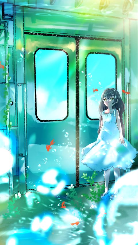 Download wallpaper 2160x3840 girl, dress, train, fishes, anime samsung galaxy s4, s5, note, sony xperia z, z1, z2, z3, htc one, lenovo vibe hd background