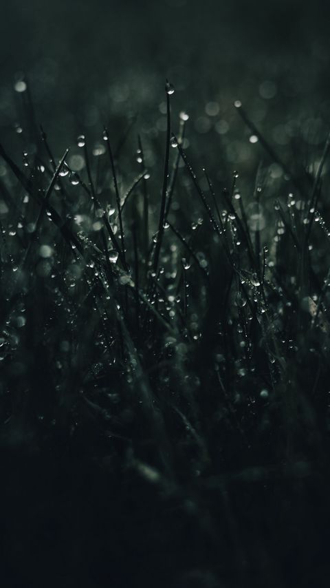 Download wallpaper 2160x3840 grass, drops, dew, macro, dark samsung galaxy s4, s5, note, sony xperia z, z1, z2, z3, htc one, lenovo vibe hd background