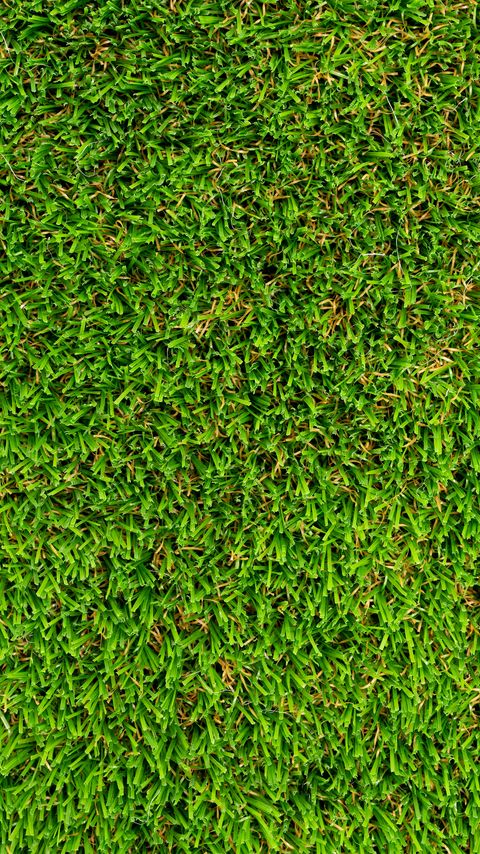 Download wallpaper 2160x3840 grass, lawn, texture, green samsung galaxy s4, s5, note, sony xperia z, z1, z2, z3, htc one, lenovo vibe hd background