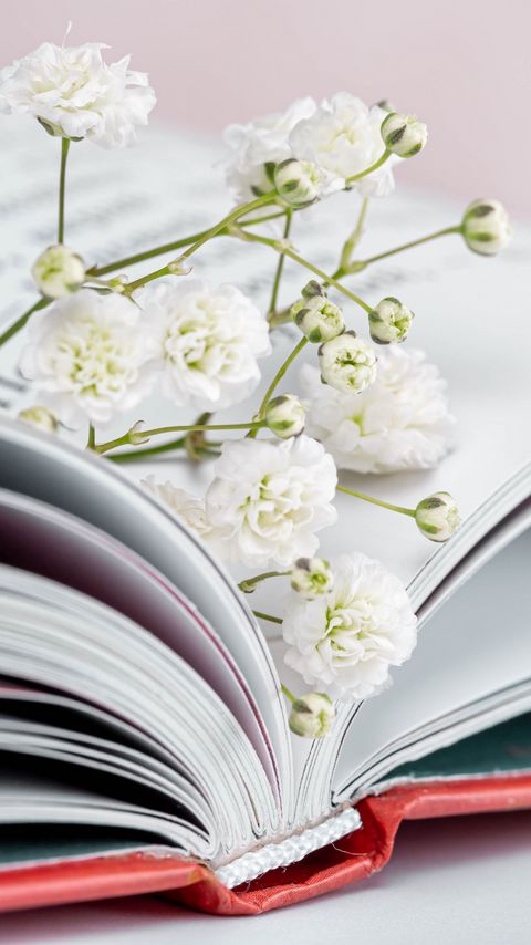 Download wallpaper 2160x3840 gypsophila, flowers, branch, book, pages samsung galaxy s4, s5, note, sony xperia z, z1, z2, z3, htc one, lenovo vibe hd background