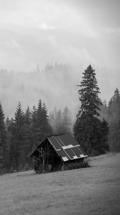 Download wallpaper 2160x3840 house, forest, trees, fog, nature, black and white samsung galaxy s4, s5, note, sony xperia z, z1, z2, z3, htc one, lenovo vibe hd background