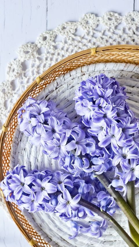 Download wallpaper 2160x3840 hyacinth, flowers, bouquet, purple samsung galaxy s4, s5, note, sony xperia z, z1, z2, z3, htc one, lenovo vibe hd background