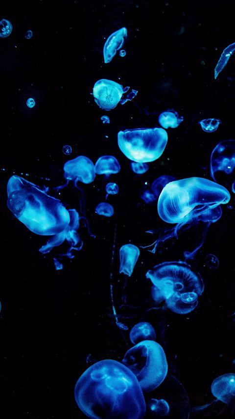 Download wallpaper 2160x3840 jellyfish, blue, glow, underwater, dark samsung galaxy s4, s5, note, sony xperia z, z1, z2, z3, htc one, lenovo vibe hd background