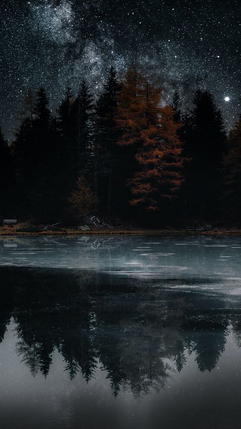 Download wallpaper 2160x3840 lake, trees, stars, reflection, night, dark samsung galaxy s4, s5, note, sony xperia z, z1, z2, z3, htc one, lenovo vibe hd background