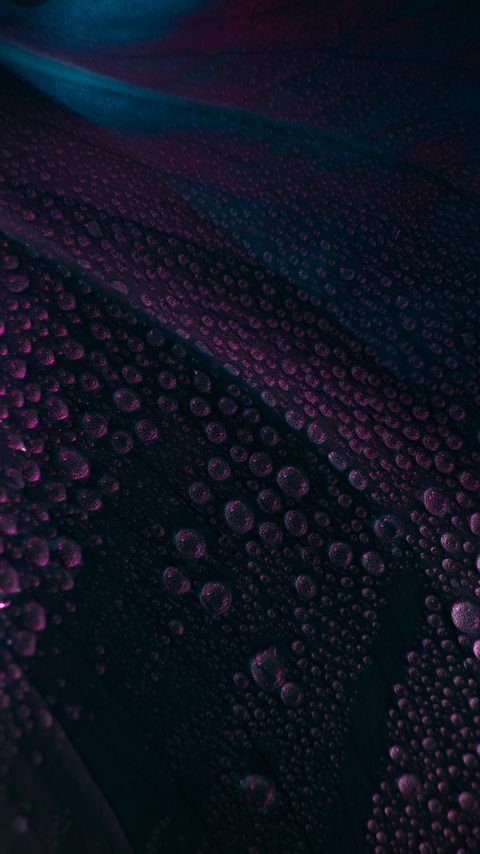 Download wallpaper 2160x3840 leaf, drops, water, surface, macro, purple samsung galaxy s4, s5, note, sony xperia z, z1, z2, z3, htc one, lenovo vibe hd background