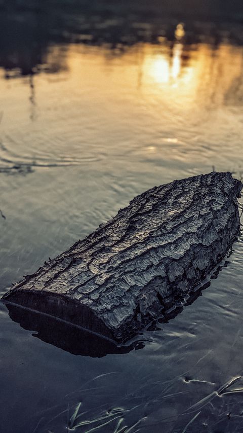 Download wallpaper 2160x3840 log, water, sun, sunset, reflection samsung galaxy s4, s5, note, sony xperia z, z1, z2, z3, htc one, lenovo vibe hd background