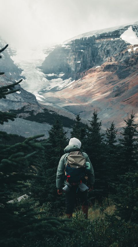 Download wallpaper 2160x3840 man, hike, camping, forest, trees, nature samsung galaxy s4, s5, note, sony xperia z, z1, z2, z3, htc one, lenovo vibe hd background