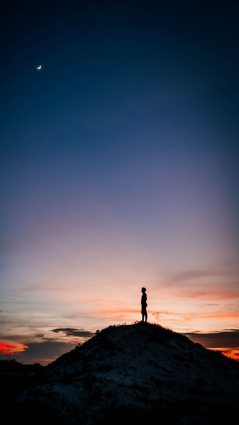 Download wallpaper 2160x3840 man, silhouette, alone, mountain, peak, dusk samsung galaxy s4, s5, note, sony xperia z, z1, z2, z3, htc one, lenovo vibe hd background