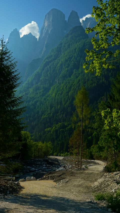 Download wallpaper 2160x3840 mountains, forest, trees, path, turn, landscape, nature samsung galaxy s4, s5, note, sony xperia z, z1, z2, z3, htc one, lenovo vibe hd background