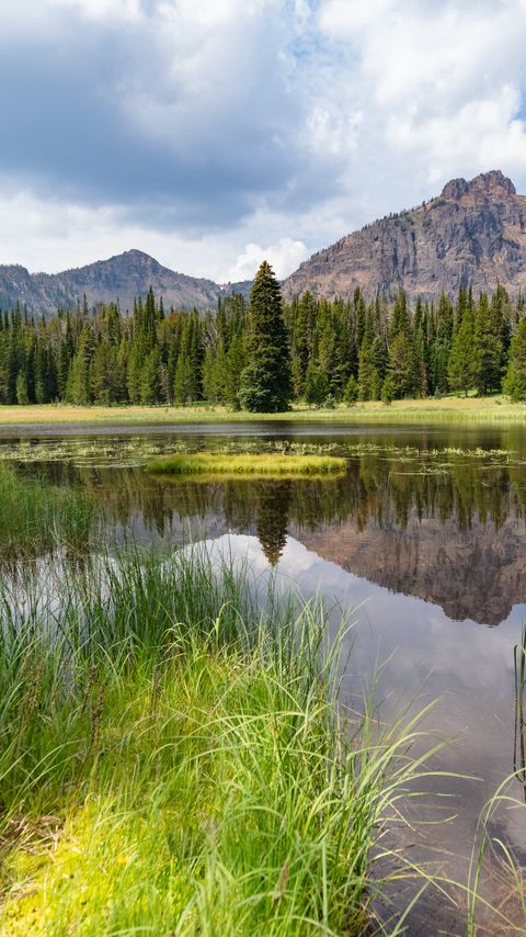 Download wallpaper 2160x3840 mountains, trees, lake, grass, nature, landscape samsung galaxy s4, s5, note, sony xperia z, z1, z2, z3, htc one, lenovo vibe hd background