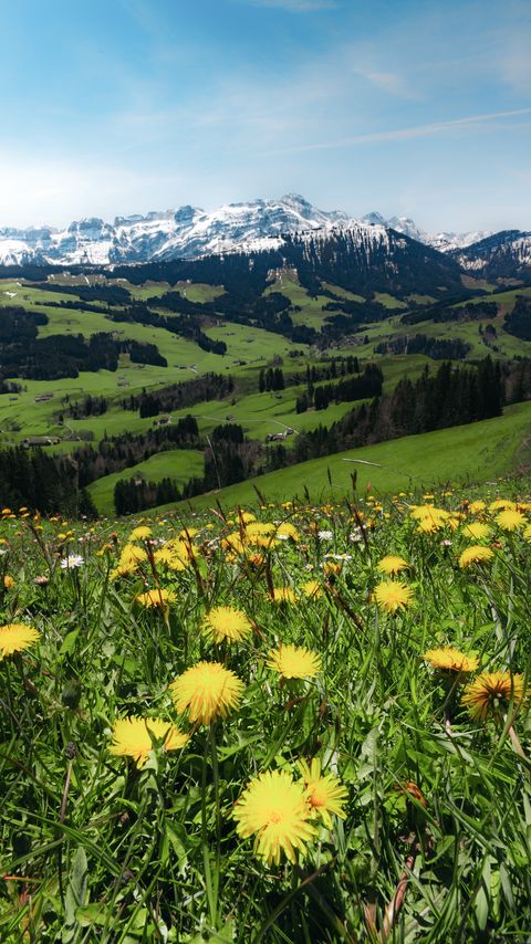 Download wallpaper 2160x3840 mountains, valley, meadow, grass, flowers, landscape, summer samsung galaxy s4, s5, note, sony xperia z, z1, z2, z3, htc one, lenovo vibe hd background