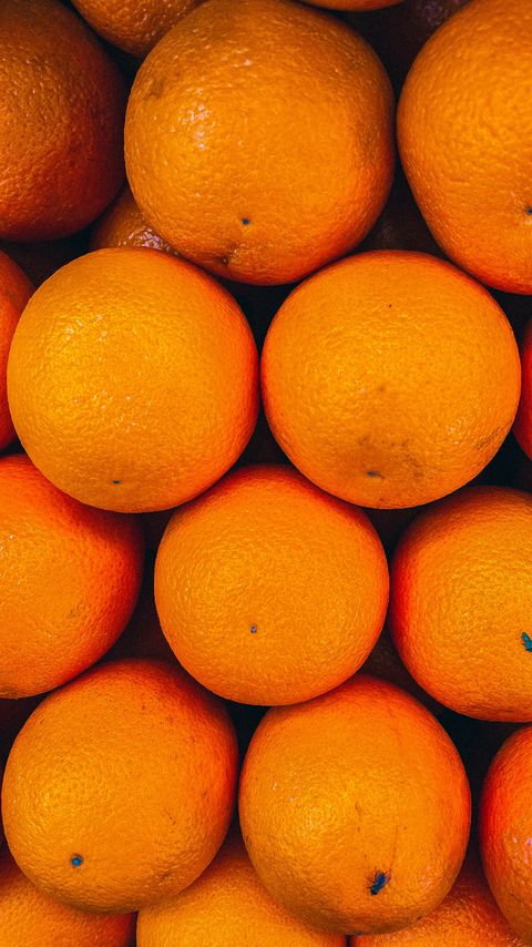 Download wallpaper 2160x3840 oranges, fruits, citrus, orange, fresh samsung galaxy s4, s5, note, sony xperia z, z1, z2, z3, htc one, lenovo vibe hd background