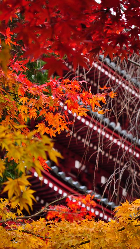 Download wallpaper 2160x3840 pagoda, architecture, tree, leaves, autumn samsung galaxy s4, s5, note, sony xperia z, z1, z2, z3, htc one, lenovo vibe hd background