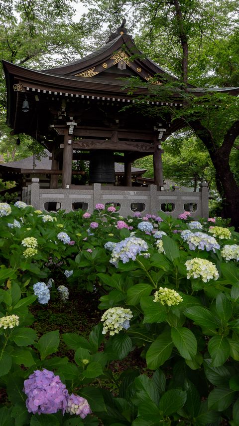 Download wallpaper 2160x3840 pagoda, temple, hydrangea, flowers, japan samsung galaxy s4, s5, note, sony xperia z, z1, z2, z3, htc one, lenovo vibe hd background