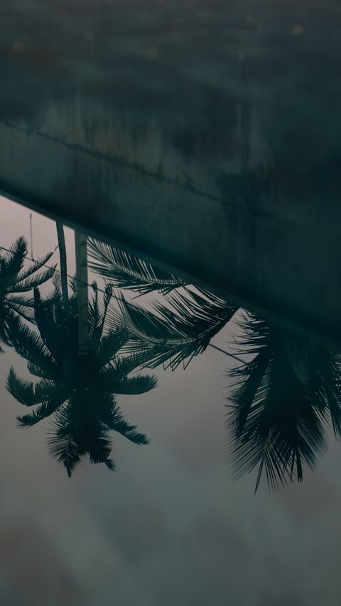 Download wallpaper 2160x3840 palm trees, leaves, reflection, water samsung galaxy s4, s5, note, sony xperia z, z1, z2, z3, htc one, lenovo vibe hd background