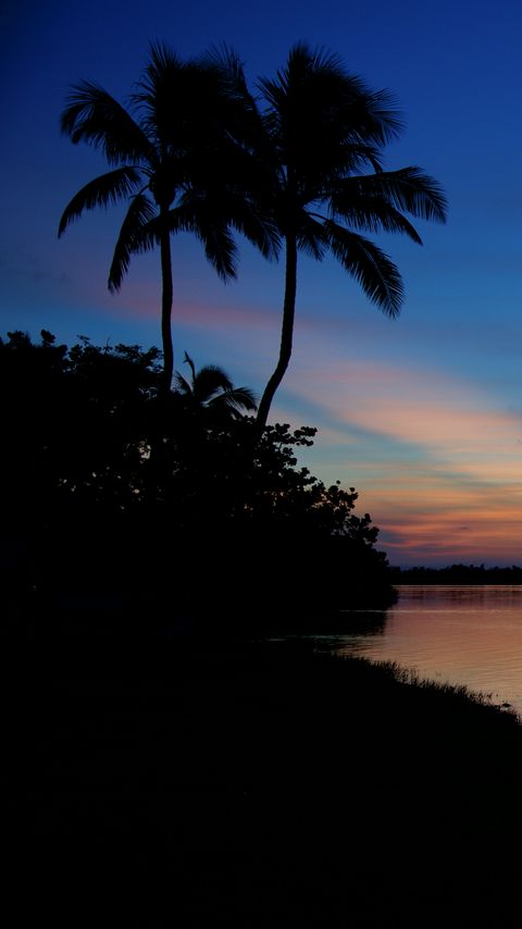 Download wallpaper 2160x3840 palms, silhouettes, trees, sea, sunset, dark samsung galaxy s4, s5, note, sony xperia z, z1, z2, z3, htc one, lenovo vibe hd background