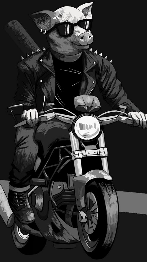 Download wallpaper 2160x3840 pig, sunglasses, biker, motorcycle, art, black and white samsung galaxy s4, s5, note, sony xperia z, z1, z2, z3, htc one, lenovo vibe hd background