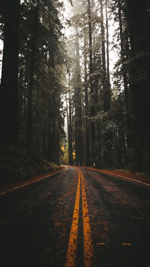 Download wallpaper 2160x3840 road, asphalt, forest, trees, nature samsung galaxy s4, s5, note, sony xperia z, z1, z2, z3, htc one, lenovo vibe hd background