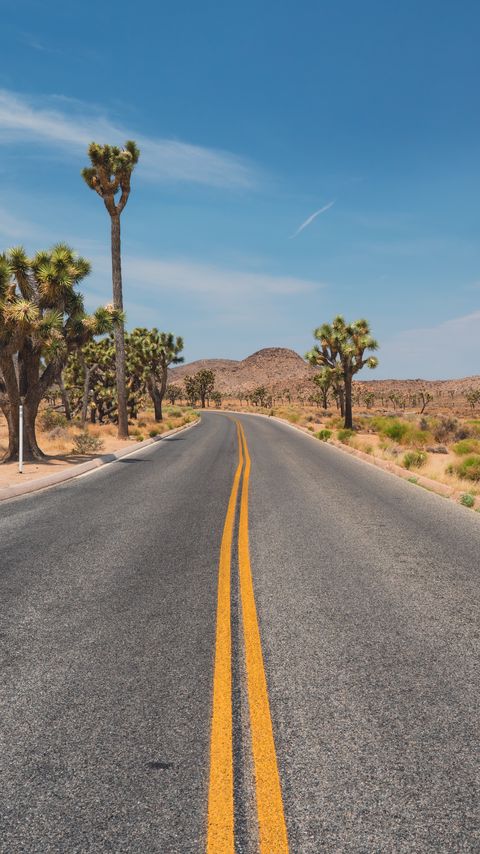 Download wallpaper 2160x3840 road, desert, mountains, cacti, landscape samsung galaxy s4, s5, note, sony xperia z, z1, z2, z3, htc one, lenovo vibe hd background