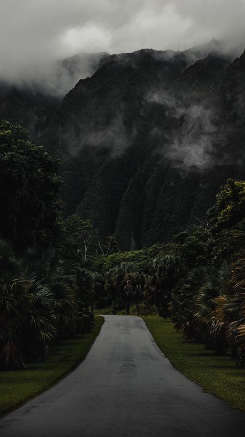 Download wallpaper 2160x3840 road, mountain, palm trees, landscape, nature samsung galaxy s4, s5, note, sony xperia z, z1, z2, z3, htc one, lenovo vibe hd background